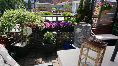 Amsterdam Roof Terrace B&B