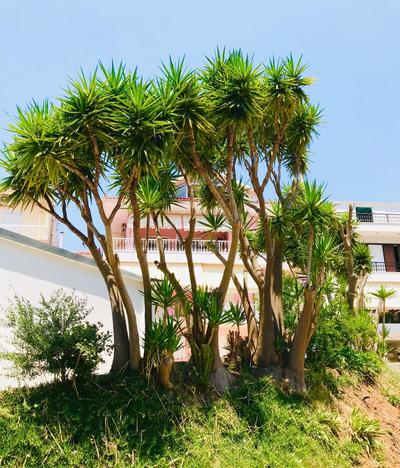 Modern City Center Apartment Preveza Marina
