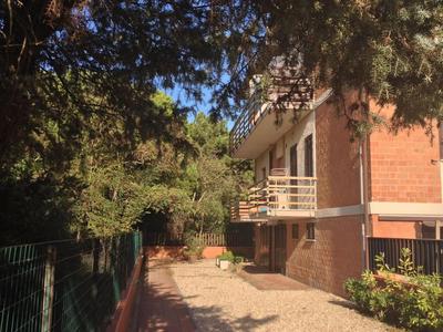 Bilocale a 40 mt. dalla spiaggia circondato dalla pineta