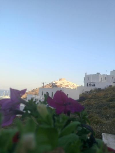 Marina's House