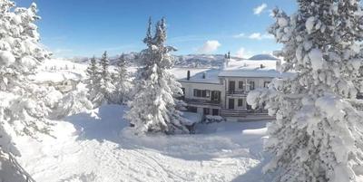 B&B IL PINO