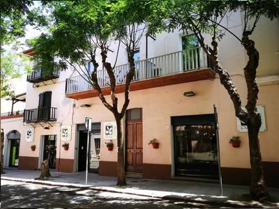 Amelia Apts & Rooms