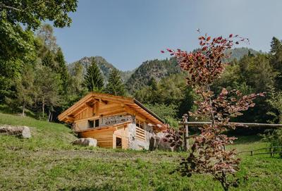 Odomi maso nel bosco - Eleganza e Relax nella Natura
