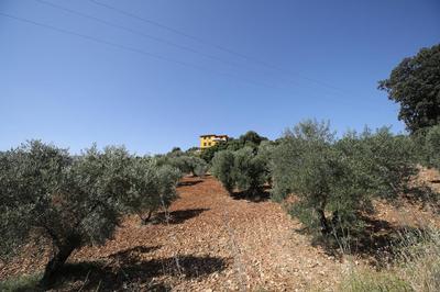 Casa Luna Ronda
