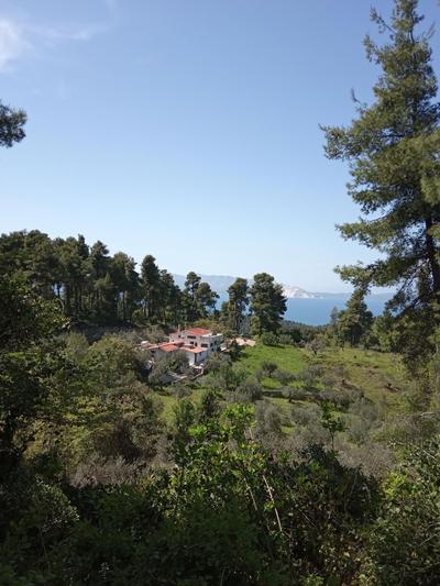 Houni House