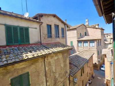 Bright Loft in Siena