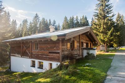 Astn Hütten Residenz Waldsicht Königsleiten - Ferienwohnungen