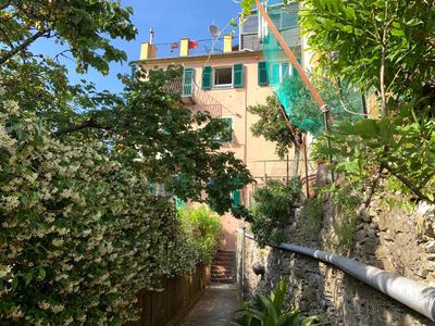 House Blue Sky by Holiday World