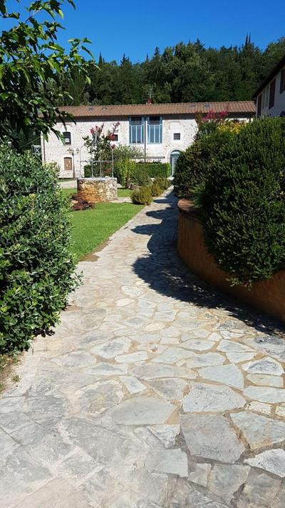 Lady Frantoio Toscano