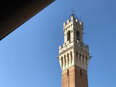 THE BLUE LODGE-cozy flat close to Piazza del Campo
