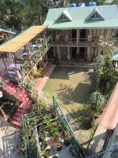 Roots Shoots & Beds