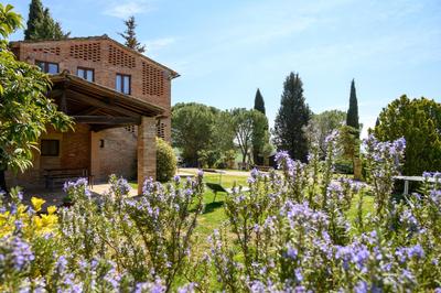 Fattoria Pieve a Salti