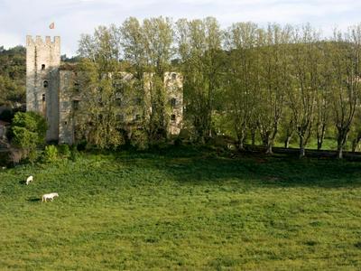Château d'Esparron