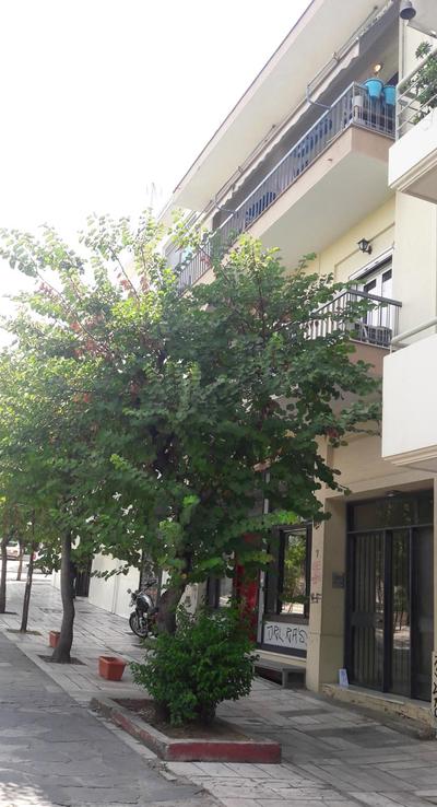 Thissio View Design Apartment
