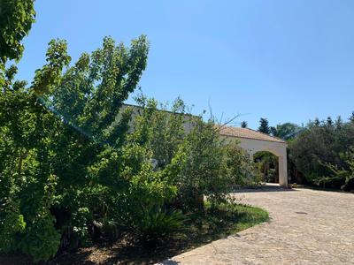 Villa Olivia