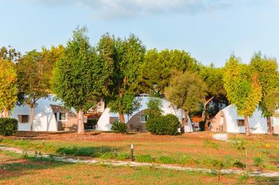 Torre Cintola Greenblu Sea Emotions