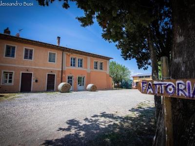 Agriturismo La Valle della Lavanda - Podere Mezzastrada