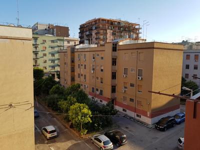 Casatua