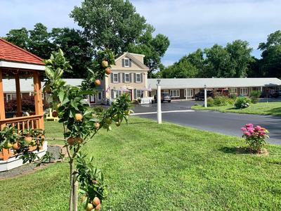 Eagle Wing Inn - Cape Cod