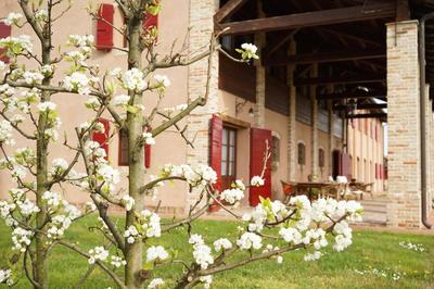 Agriturismo Ca' Lealtà