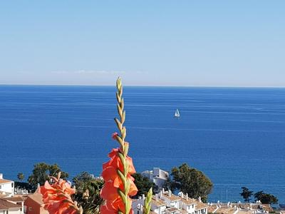 Garden sea view apartment near beach