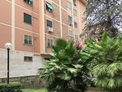 Eucalyptus Resort - Roma San Paolo -