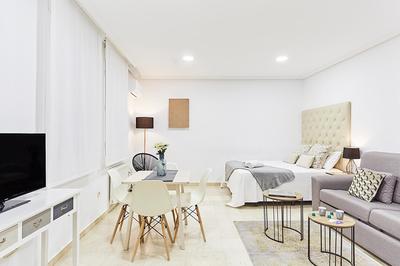 LEEWAYS LOFT XXXI in GRAN VÍA
