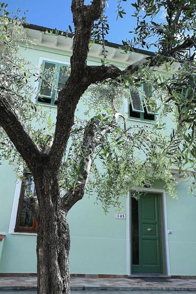 B&B Ulivo Gaio