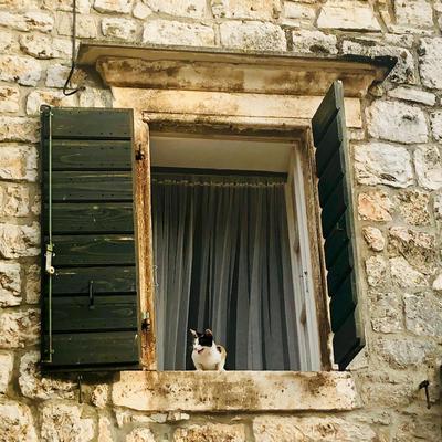 House Sidro, Stari Grad