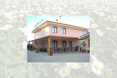 Angela Garden