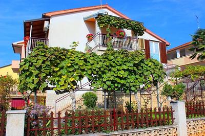 Ružica