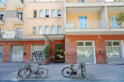 Sant'Orsola Colorful Huge Apartment