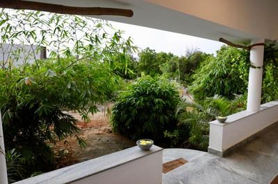 Alice Paradise by Moonrakers