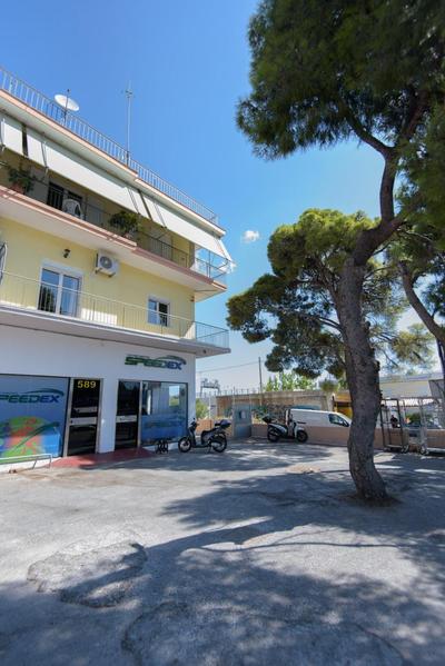 Andriana' s apartment Agia Paraskevi