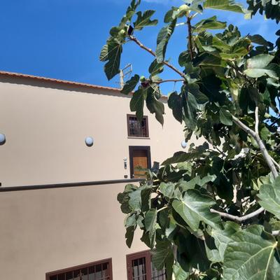 CASA SACA'