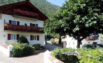 MENA Guesthouse