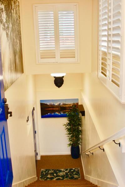 Denver Blue Bear Den 3BR 2BA & Spa