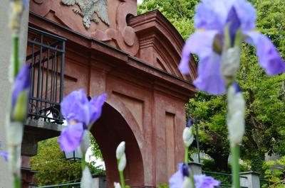Villa Dacia