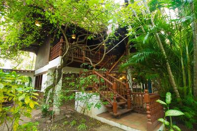 Secret Garden Chiangmai