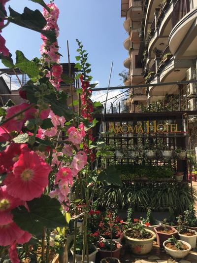 Sapa Aroma Hotel