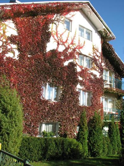 Dom Wypoczynkowy ANNA - pobyty również B&B