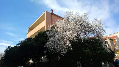 Split Symphony Veranda: Modern, new Apartment (4+1), 5 min walk to ˝Firule˝ SAND BEACH, 12 min walk to CITY CENTER