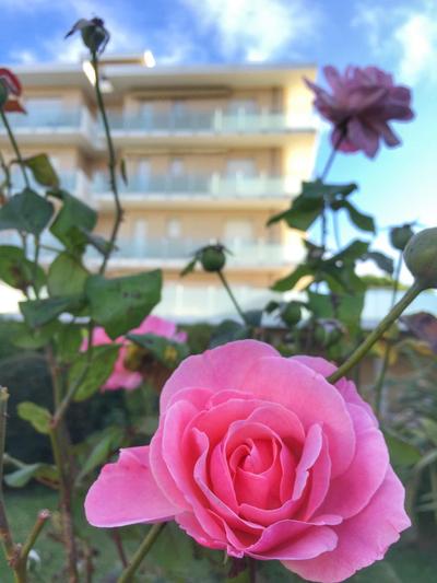 Emozione Marina - appartamento fronte mare
