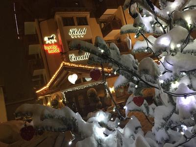 Cavallino Lovely Hotel