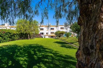 Apartamento Yacintos
