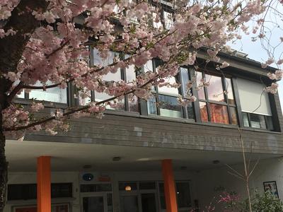 Max Hostel