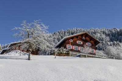 Chalet "Altes Schulhaus"