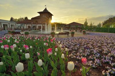 Holiday Inn Express - Kaiserslautern by IHG