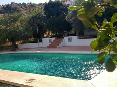 El olivar de Concha, Caminito del Rey