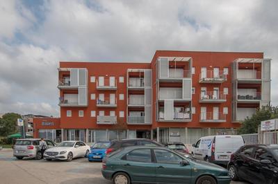 Bella Vista 2
